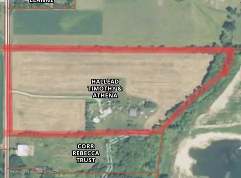 8283 S Forest Hl, Dewitt, MI 48820 photo 38