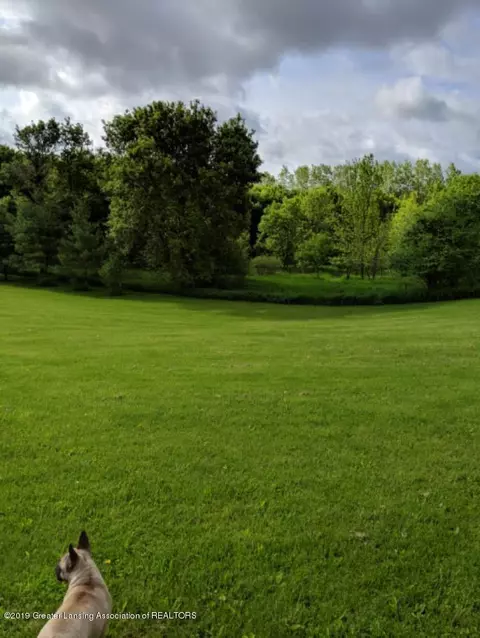 8283 S Forest Hl, Dewitt, MI 48820 photo 27