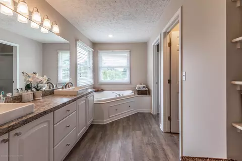 2521 Julie Way, Dewitt, MI 48820 photo 27
