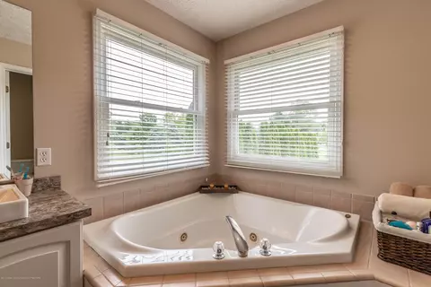 2521 Julie Way, Dewitt, MI 48820 photo 28