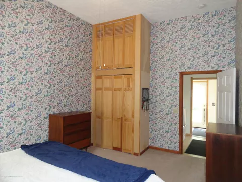 524 E Scott St, Grand Ledge, MI 48837 photo 17