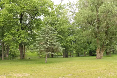 9988 Riverside Dr, Eagle, MI 48822 photo 16