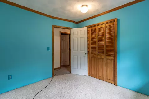 814 Elmwood, Dewitt, MI 48820 photo 15