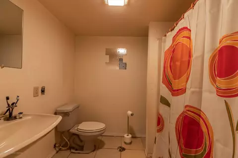 814 Elmwood, Dewitt, MI 48820 photo 19