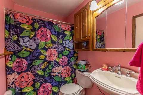814 Elmwood, Dewitt, MI 48820 photo 8