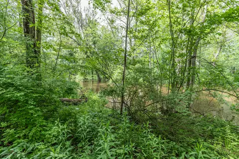 814 Elmwood, Dewitt, MI 48820 photo 32