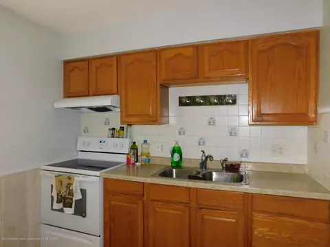 1014 Eugenia Dr, Mason, MI 48854 photo 4