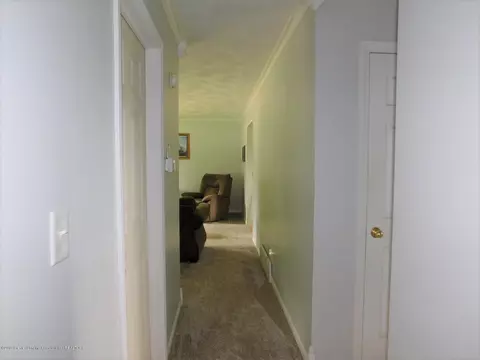 1014 Eugenia Dr, Mason, MI 48854 photo 12