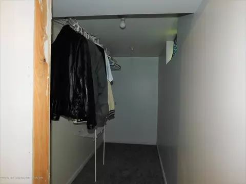 1014 Eugenia Dr, Mason, MI 48854 photo 16