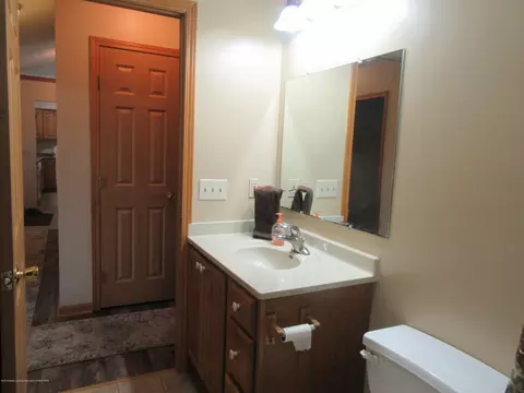 1547 E Tuttle Rd, Ionia, MI 48846 photo 29