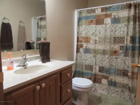 1547 E Tuttle Rd, Ionia, MI 48846 photo 28