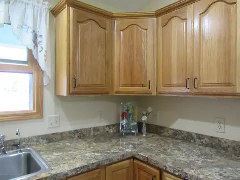1547 E Tuttle Rd, Ionia, MI 48846 photo 21