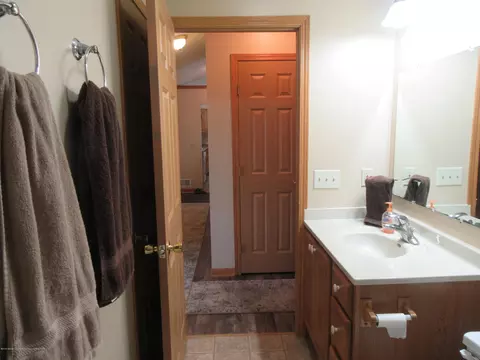 1547 E Tuttle Rd, Ionia, MI 48846 photo 30