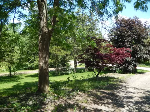 15443 W Herbison Rd, Eagle, MI 48822 photo 26
