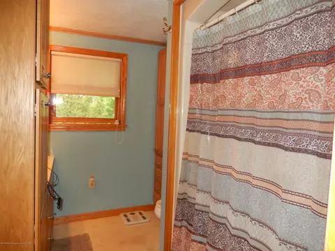 15443 W Herbison Rd, Eagle, MI 48822 photo 11