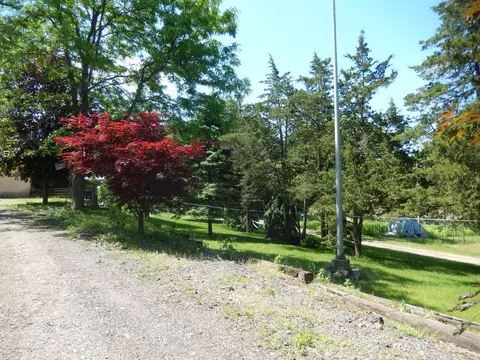 15443 W Herbison Rd, Eagle, MI 48822 photo 3