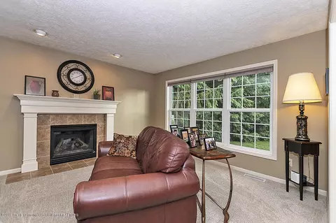 13640 Honeylocust Dr, Dewitt, MI 48820 photo 6