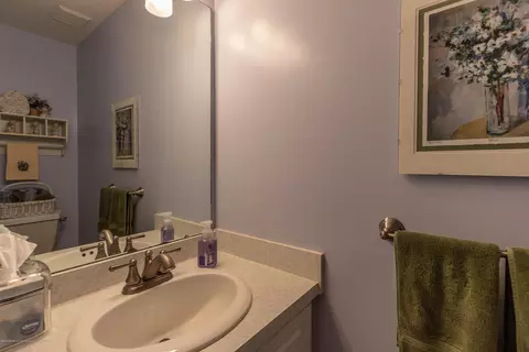 3331 Hollow Spring Dr, Dewitt, MI 48820 photo 18
