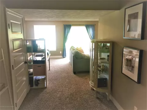 1531 Wellman Rd, Dewitt, MI 48820 photo 27