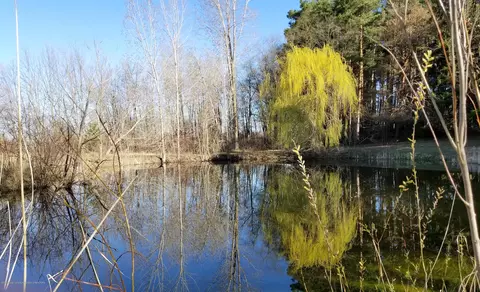 6395 E Cutler Rd, Bath, MI 48808 photo 37