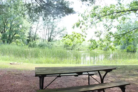 6395 E Cutler Rd, Bath, MI 48808 photo 43