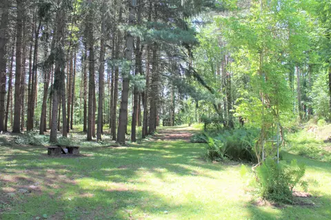 6395 E Cutler Rd, Bath, MI 48808 photo 39