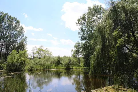 6395 E Cutler Rd, Bath, MI 48808 photo 42