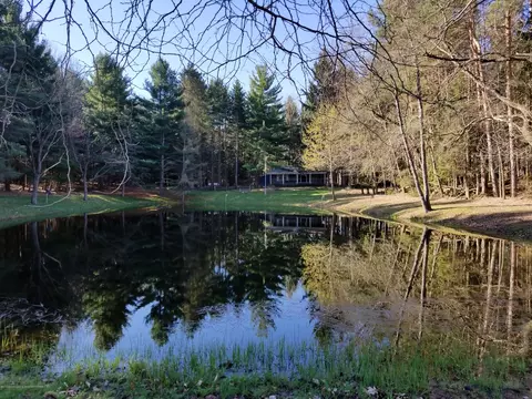 6395 E Cutler Rd, Bath, MI 48808 photo 35