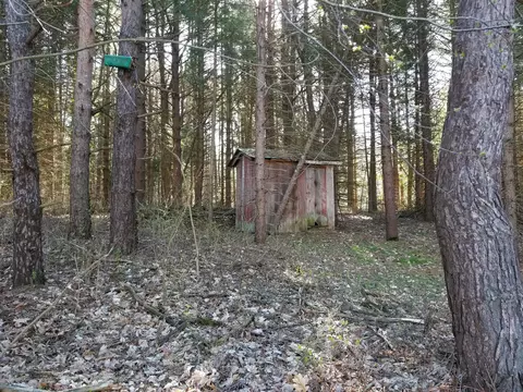 6395 E Cutler Rd, Bath, MI 48808 photo 32