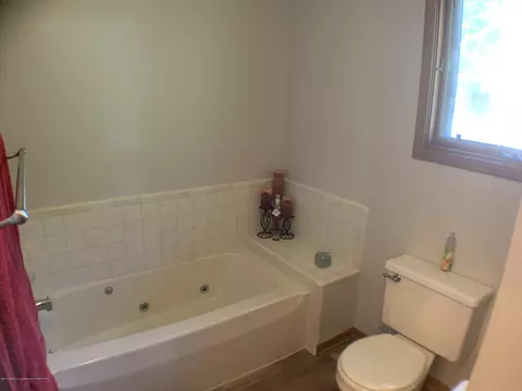 2335 Hiddenview Ln, Williamston, MI 48895 photo 20