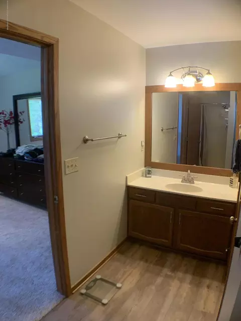 2335 Hiddenview Ln, Williamston, MI 48895 photo 22