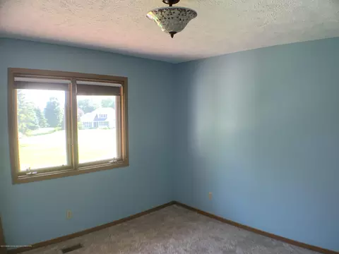 2335 Hiddenview Ln, Williamston, MI 48895 photo 25