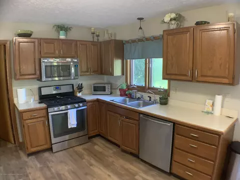 2335 Hiddenview Ln, Williamston, MI 48895 photo 6