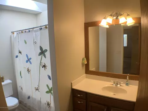 2335 Hiddenview Ln, Williamston, MI 48895 photo 27