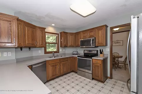 12426 Sea Pines Dr, Dewitt, MI 48820 photo 9