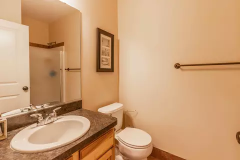 13817 Myrtle Dr, Dewitt, MI 48820 photo 21