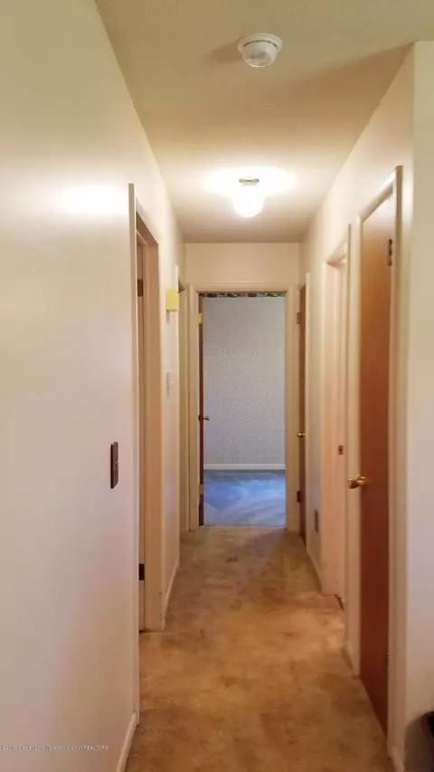 3835 Tumbleweed Ln, Dewitt, MI 48820 photo 8