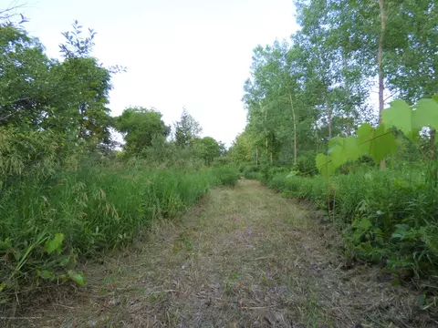 8691 E Colby Rd, Crystal, MI 48818 photo 20