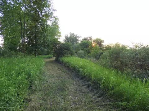 8691 E Colby Rd, Crystal, MI 48818 photo 19