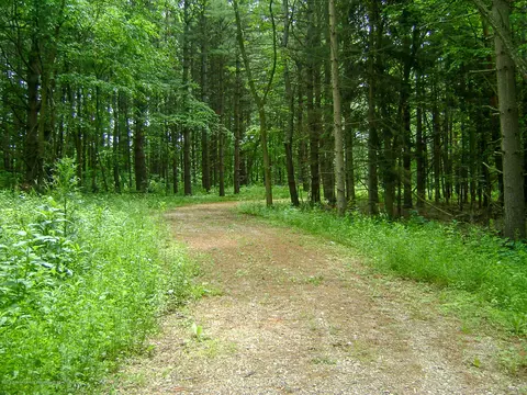 685 Gulick Rd, Haslett, MI 48840 photo 27