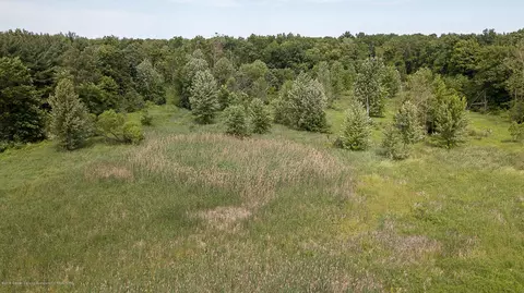 685 Gulick Rd, Haslett, MI 48840 photo 12