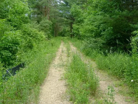 685 Gulick Rd, Haslett, MI 48840 photo 29