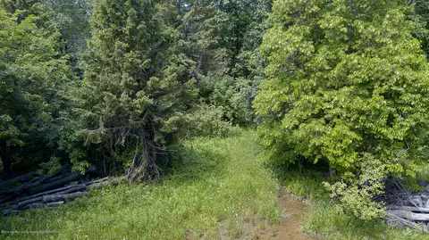 685 Gulick Rd, Haslett, MI 48840 photo 56