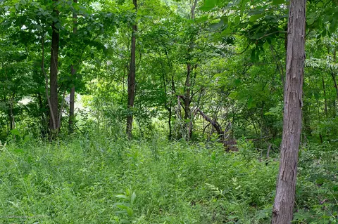 685 Gulick Rd, Haslett, MI 48840 photo 39