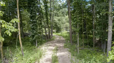 685 Gulick Rd, Haslett, MI 48840 photo 57