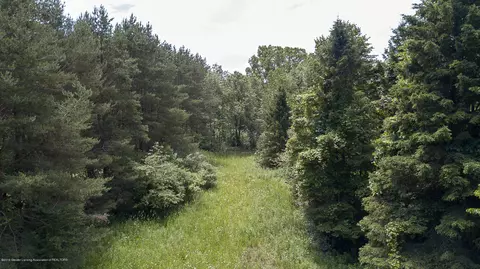 685 Gulick Rd, Haslett, MI 48840 photo 54