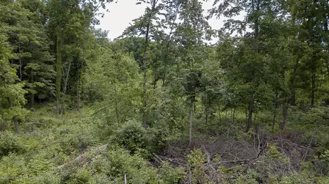 685 Gulick Rd, Haslett, MI 48840 photo 65