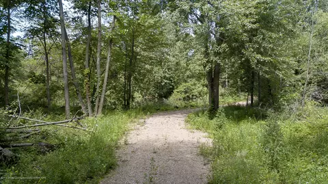 685 Gulick Rd, Haslett, MI 48840 photo 58