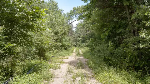 685 Gulick Rd, Haslett, MI 48840 photo 63