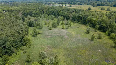 685 Gulick Rd, Haslett, MI 48840 photo 11